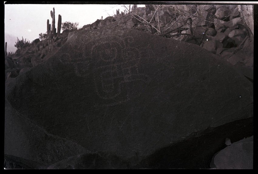 Bande-film de 6 vues concernant des pétroglyphes [Lambayeque ?]