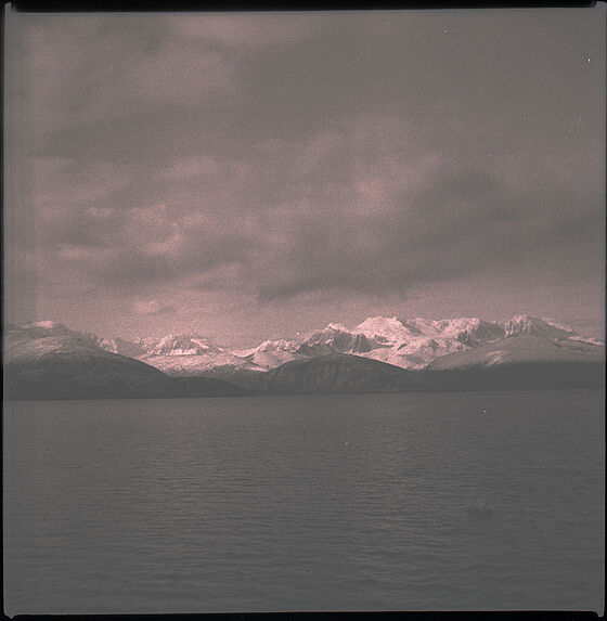 Beagle channel, retour de Navarino