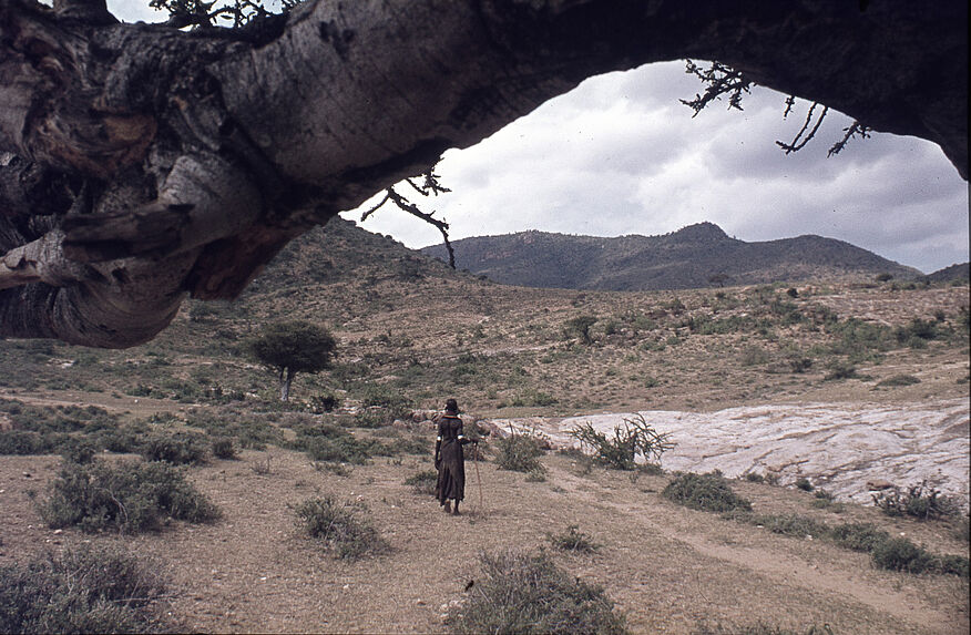 Sans titre [maasaï au milieu d'un paysage]