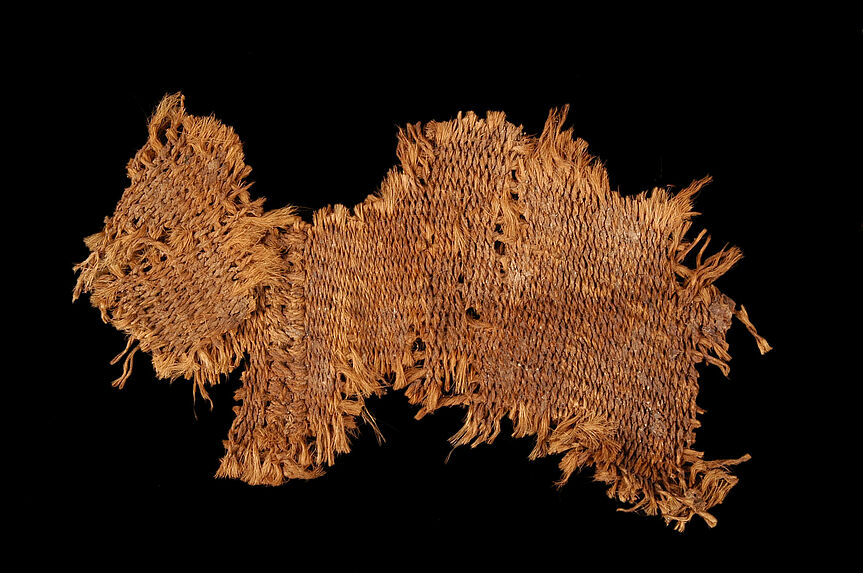 Tissu (fragment)