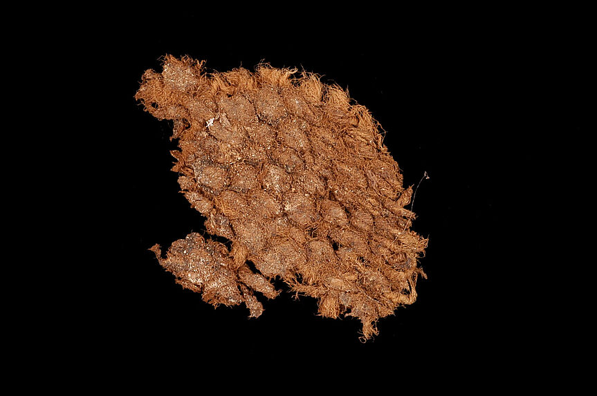 Tissu (fragment)
