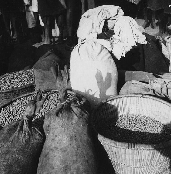 Marché annuel des arachides