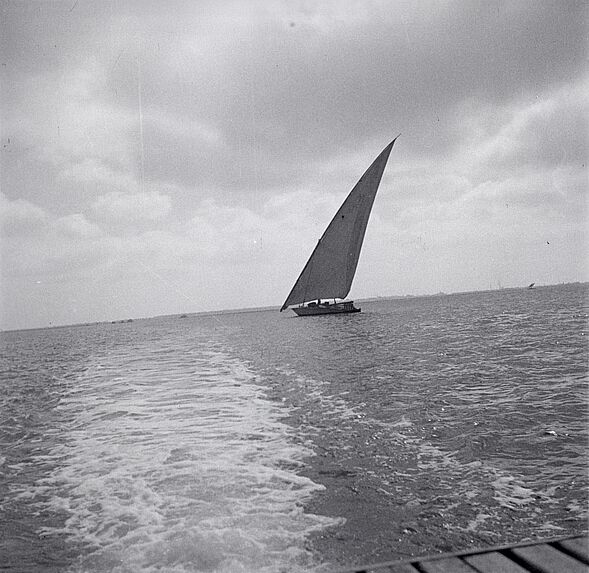 Barque à voile sur le lac Menzaleh