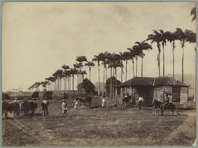 Guadeloupe ; habitation à Capesterre