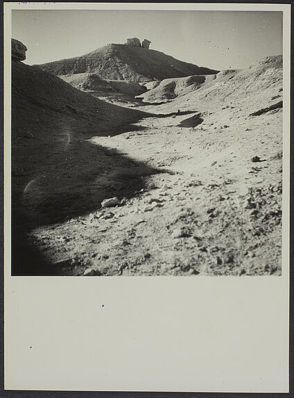 Paysage aux environs d'El Goléa, Sud algérien