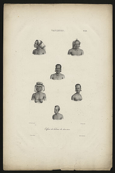 Vanikoro. Coiffures des habitants des deux sexes.