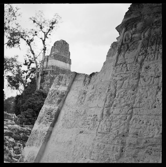 Tikal [bas-relief et temple I]
