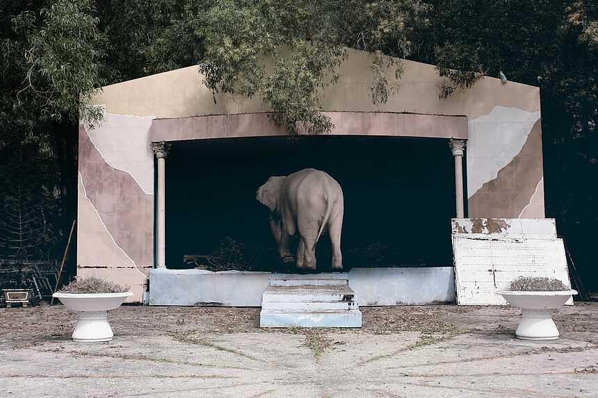 Albino Elephant, Road to Penang