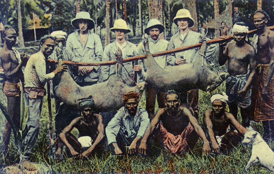 Wild Boar Hunting, Malaya, collection of the artist