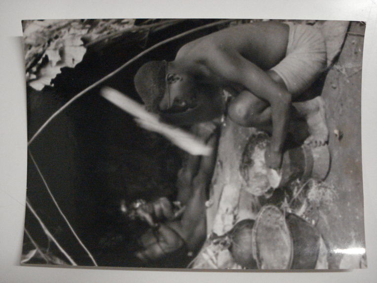 Femme Babenzelé pile du maïs ou du manioc échangé aux noirs