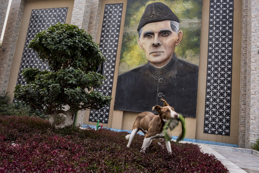 A stray dog chewing fake grass in front of the founder of Pakistan