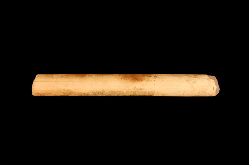 Fragment de bambou
