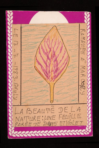 Dessin : La beauté de la nature : une feuille parée de jaune et violet ramassée à Marcory