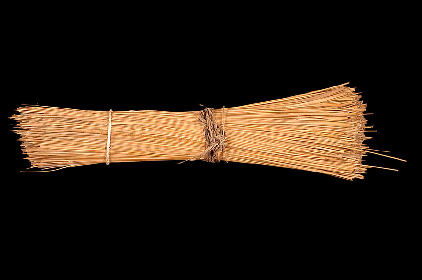 Echantillon végétal : botte de joncs