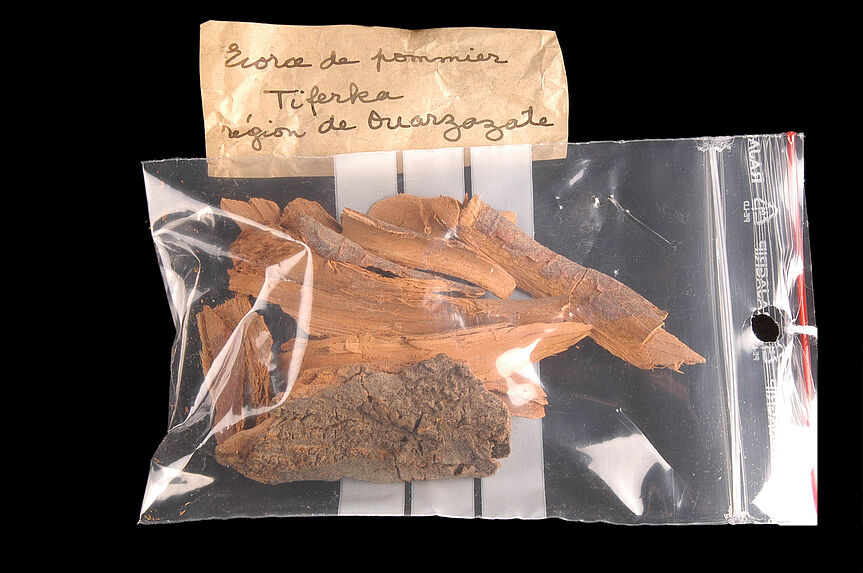 Echantillon végétal : écorce de pommier