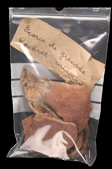 Echantillon végétal : écorce de grenade