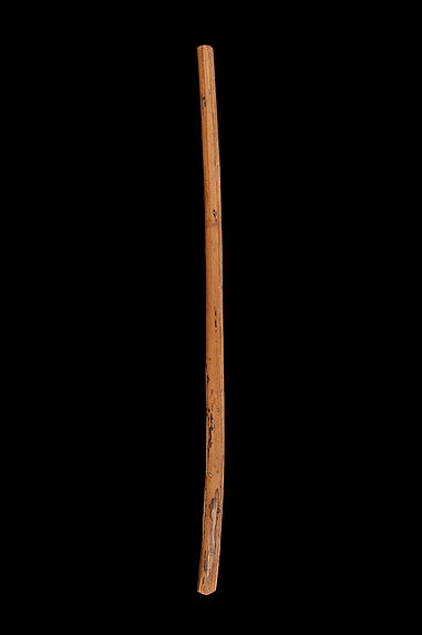 Tige de piège