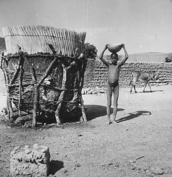 Grenier en paille tressée pour les haricots (décoiffé)