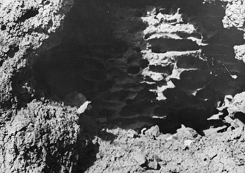 Détail de brèche dans une termitière