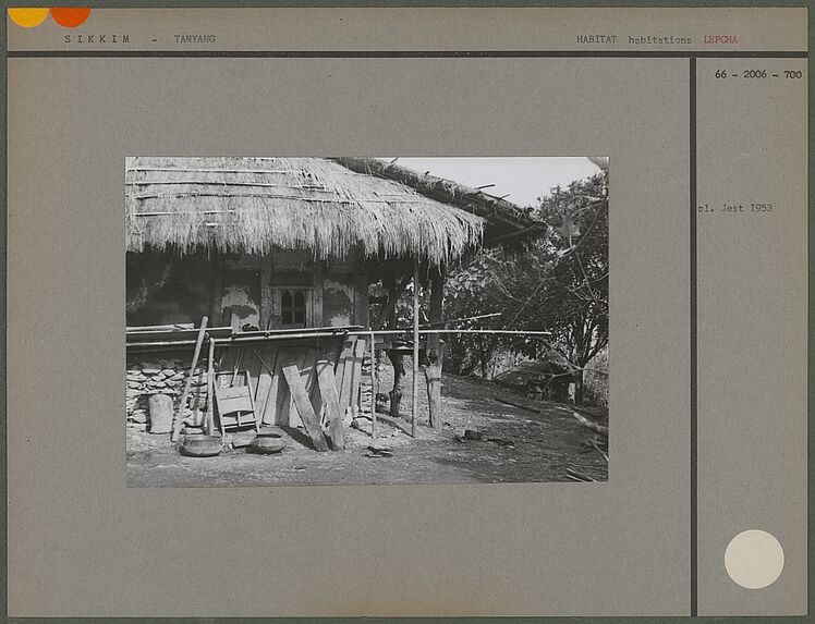 Sans titre [habitation lepcha sur pilotis]