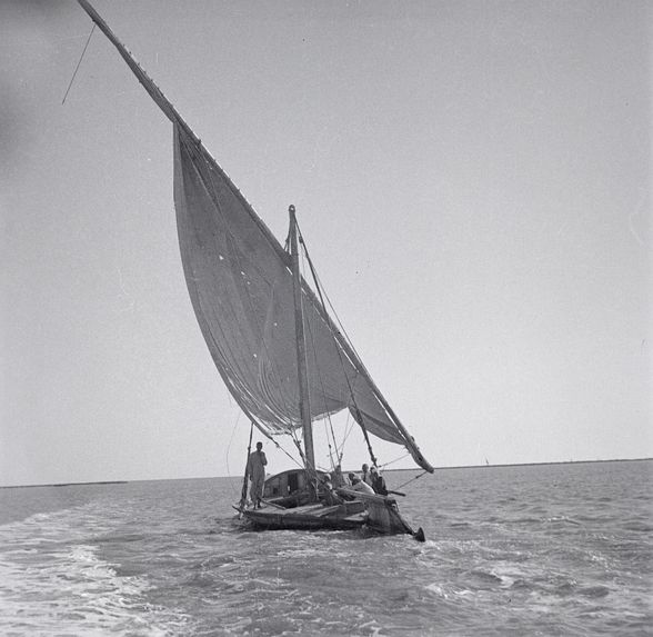 Barque à voile sur le lac Menzaleh