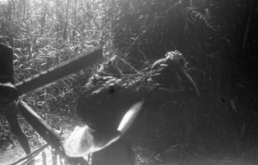 Bande film de 6 vues sur le Sepik. Mission 1954-1955. L.S.