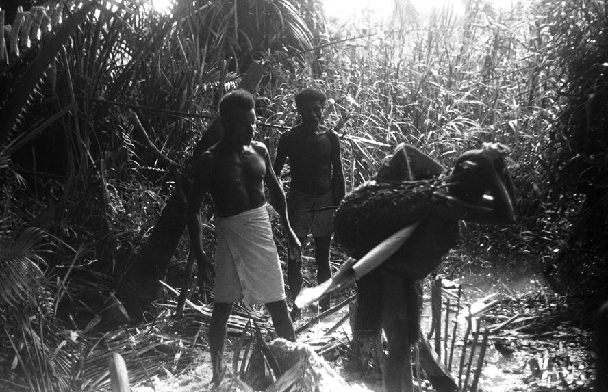 Bande film de 6 vues sur le Sepik. Mission 1954-1955. L.S.