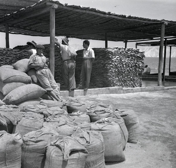 Première mission 1947-1951. Chachapoyas. Cajamarca. Utcubamba