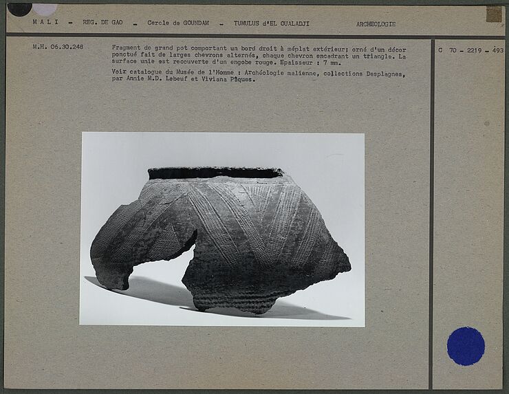 Fragment de grand pot