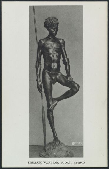 Shilluk warrior, Sudan, Africa
