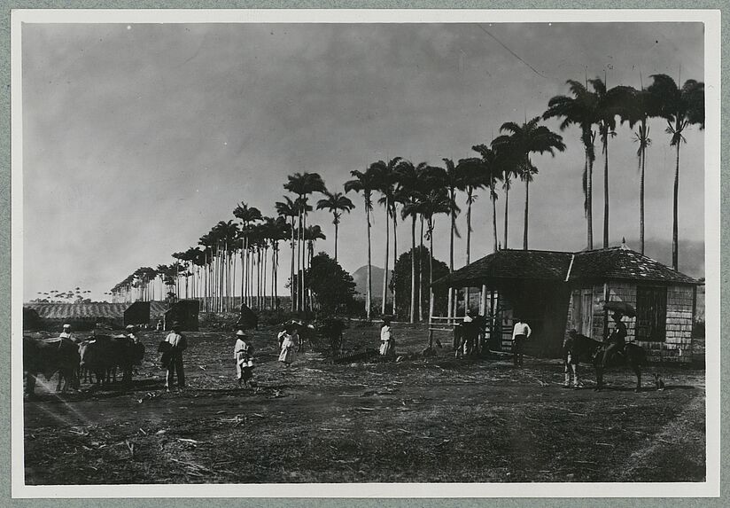 Guadeloupe ; habitation à Capesterre