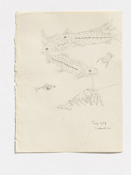 Some fishes [certains poissons]