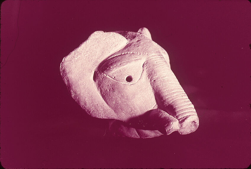 Tête d'éléphant. Terre cuite. Fragment