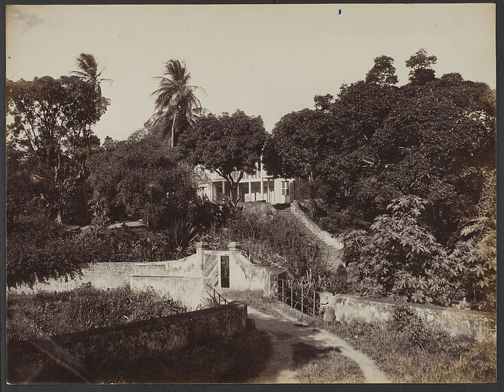 Guadeloupe ; jardin botanique de Basse-Terre