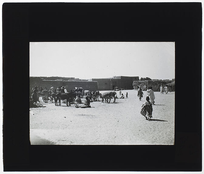 Marché aux ânes