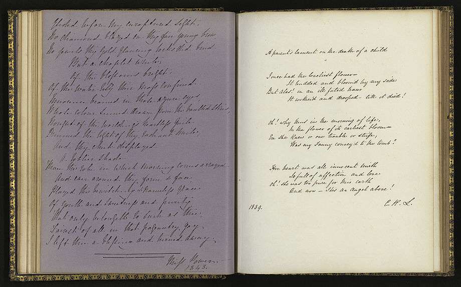 Sans titre [album de dessins de la colonie du Cap par Larkins]